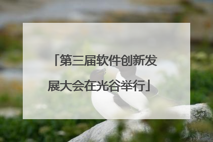 第三届软件创新发展大会在光谷举行