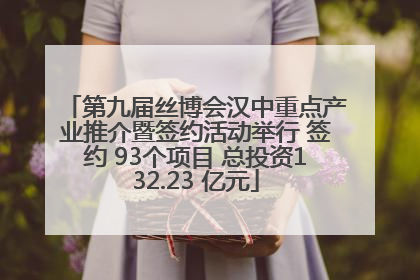 第九届丝博会汉中重点产业推介暨签约活动举行 签约 93个项目 总投资132.23 亿元