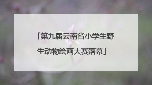 第九届云南省小学生野生动物绘画大赛落幕