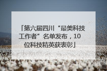 第六届四川“最美科技工作者”名单发布，10位科技精英获表彰