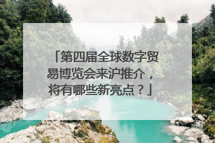 第四届全球数字贸易博览会来沪推介，将有哪些新亮点？