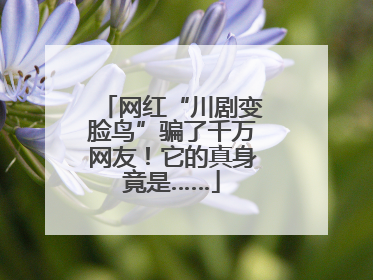 网红“川剧变脸鸟”骗了千万网友！它的真身竟是……