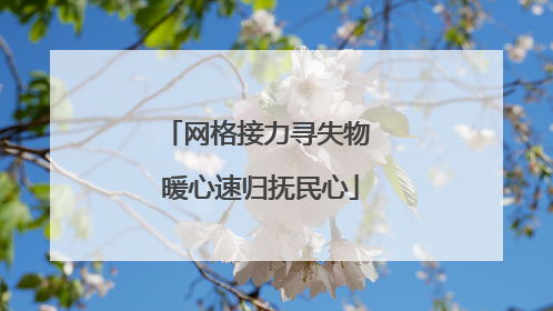 网格接力寻失物 暖心速归抚民心