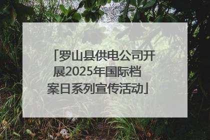 罗山县供电公司开展2025年国际档案日系列宣传活动