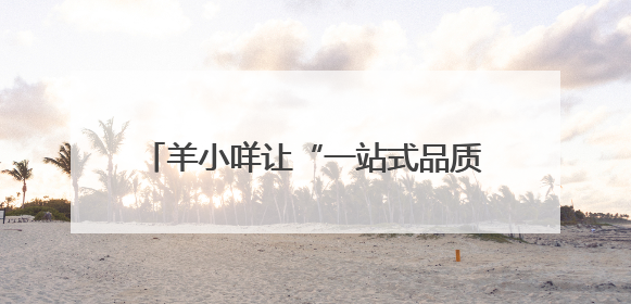羊小咩让“一站式品质生活”从理想变为现实