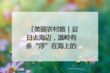美丽农村路｜夏日去海边，温岭有条“浮”在海上的公路你去过吗？
