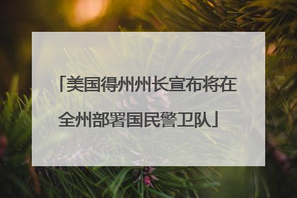 美国得州州长宣布将在全州部署国民警卫队