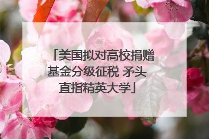 美国拟对高校捐赠基金分级征税 矛头直指精英大学