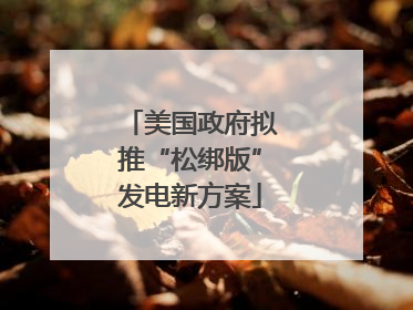 美国政府拟推“松绑版”发电新方案