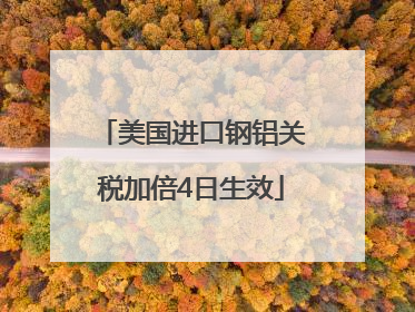 美国进口钢铝关税加倍4日生效