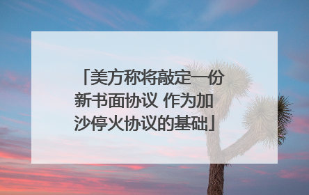 美方称将敲定一份新书面协议 作为加沙停火协议的基础
