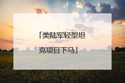 美陆军轻型坦克项目下马