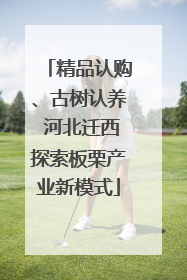 精品认购、古树认养 河北迁西探索板栗产业新模式
