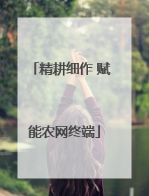 精耕细作 赋能农网终端