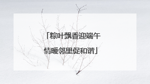 粽叶飘香迎端午 情暖邻里促和谐