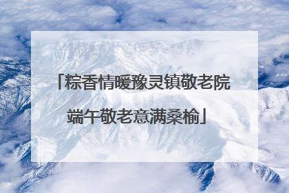 粽香情暖豫灵镇敬老院 端午敬老意满桑榆