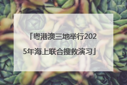 粤港澳三地举行2025年海上联合搜救演习