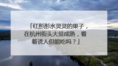 红彤彤水灵灵的果子，在杭州街头大量成熟，看着诱人但能吃吗？