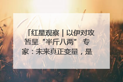 红星观察｜以伊对攻暂呈“半斤八两” 专家：未来真正变量，是美国是否进一步介入