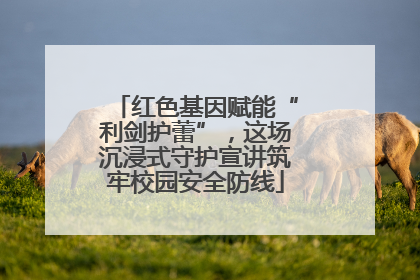 红色基因赋能“利剑护蕾”，这场沉浸式守护宣讲筑牢校园安全防线