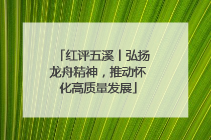 红评五溪丨弘扬龙舟精神，推动怀化高质量发展