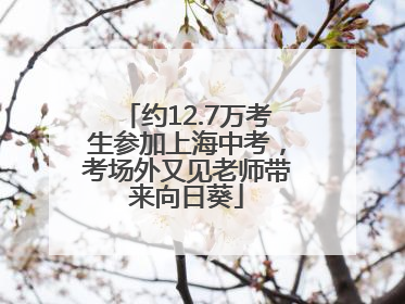 约12.7万考生参加上海中考，考场外又见老师带来向日葵