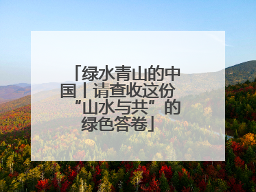 绿水青山的中国丨请查收这份“山水与共”的绿色答卷