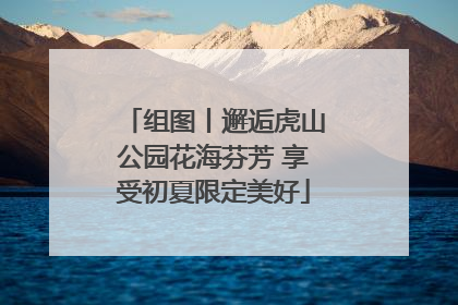 组图丨邂逅虎山公园花海芬芳 享受初夏限定美好