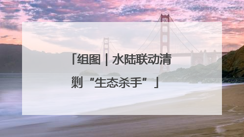 组图｜水陆联动清剿“生态杀手”