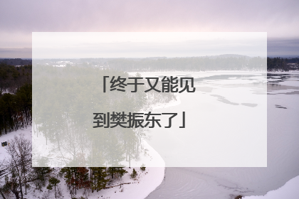 终于又能见到樊振东了