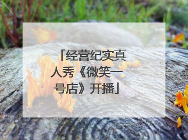 经营纪实真人秀《微笑一号店》开播