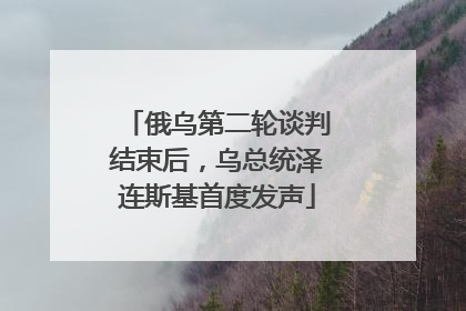 俄乌第二轮谈判结束后，乌总统泽连斯基首度发声