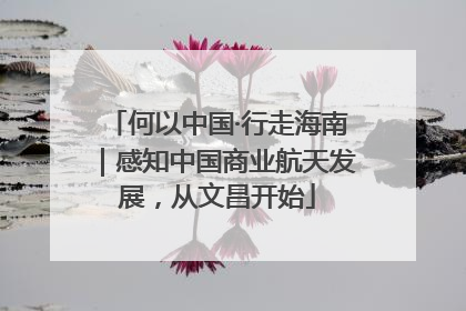 何以中国·行走海南｜感知中国商业航天发展，从文昌开始