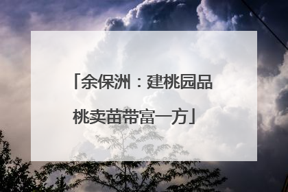余保洲：建桃园品桃卖苗带富一方