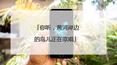 你听，黄河岸边的鸟儿正在歌唱