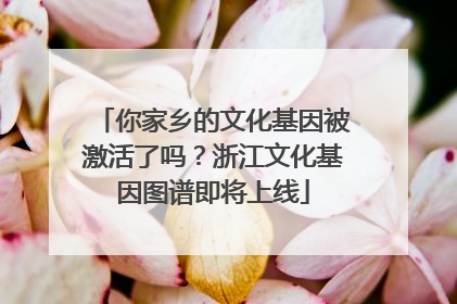 你家乡的文化基因被激活了吗？浙江文化基因图谱即将上线