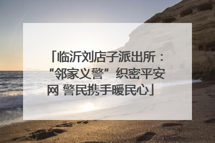 临沂刘店子派出所：“邻家义警”织密平安网 警民携手暖民心