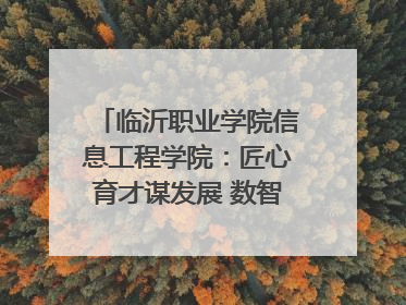 临沂职业学院信息工程学院：匠心育才谋发展 数智赋能谱新篇
