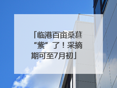 临港百亩桑葚“紫”了！采摘期可至7月初