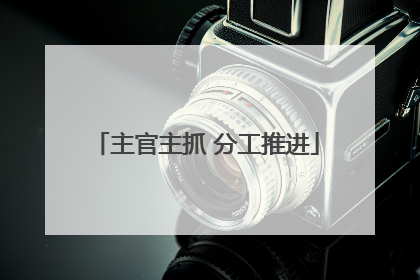 主官主抓 分工推进