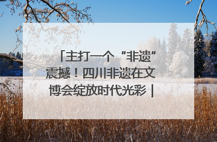 主打一个“非遗”震撼！四川非遗在文博会绽放时代光彩｜文博向“新”