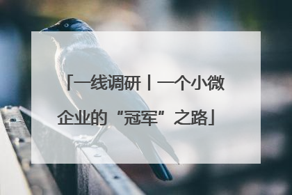 一线调研丨一个小微企业的“冠军”之路