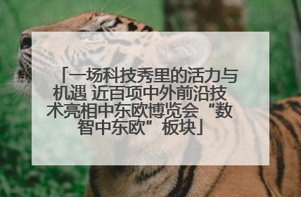 一场科技秀里的活力与机遇 近百项中外前沿技术亮相中东欧博览会“数智中东欧”板块
