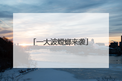 一大波螳螂来袭