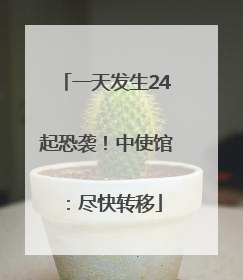 一天发生24起恐袭！中使馆：尽快转移