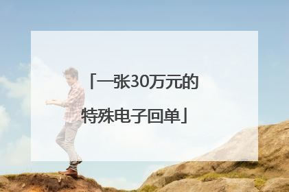 一张30万元的特殊电子回单