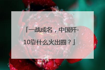 一战成名，中国歼-10靠什么火出圈？