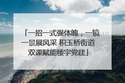 一招一式强体魄，一镜一景展风采 积玉桥街道双课赋能楼宇党建