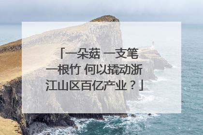 一朵菇 一支笔 一根竹 何以撬动浙江山区百亿产业？