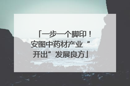 一步一个脚印！安图中药材产业“开出”发展良方